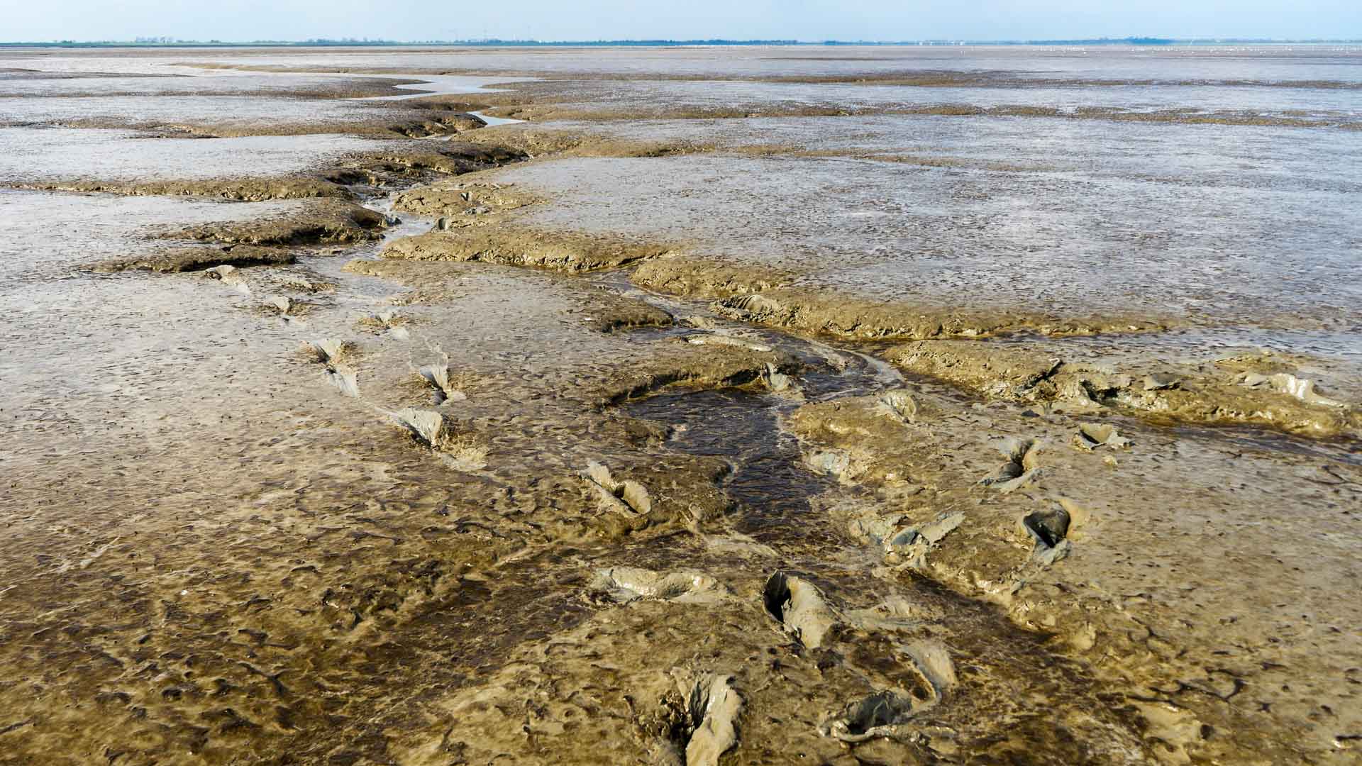 Spuren im Watt bei Dangast, Nordsee